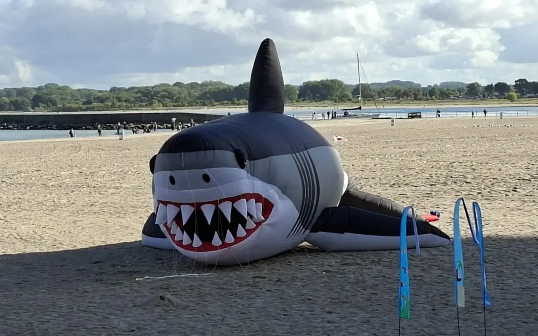 Ein ungewöhnlicher Strandgast